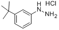 结构式 CAS# 306937-27-9, 1-[3-(叔丁基)苯基]肼盐酸盐