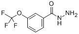 结构式 CAS# 321195-88-4, 3-(三氟甲氧基)苯甲酰肼
